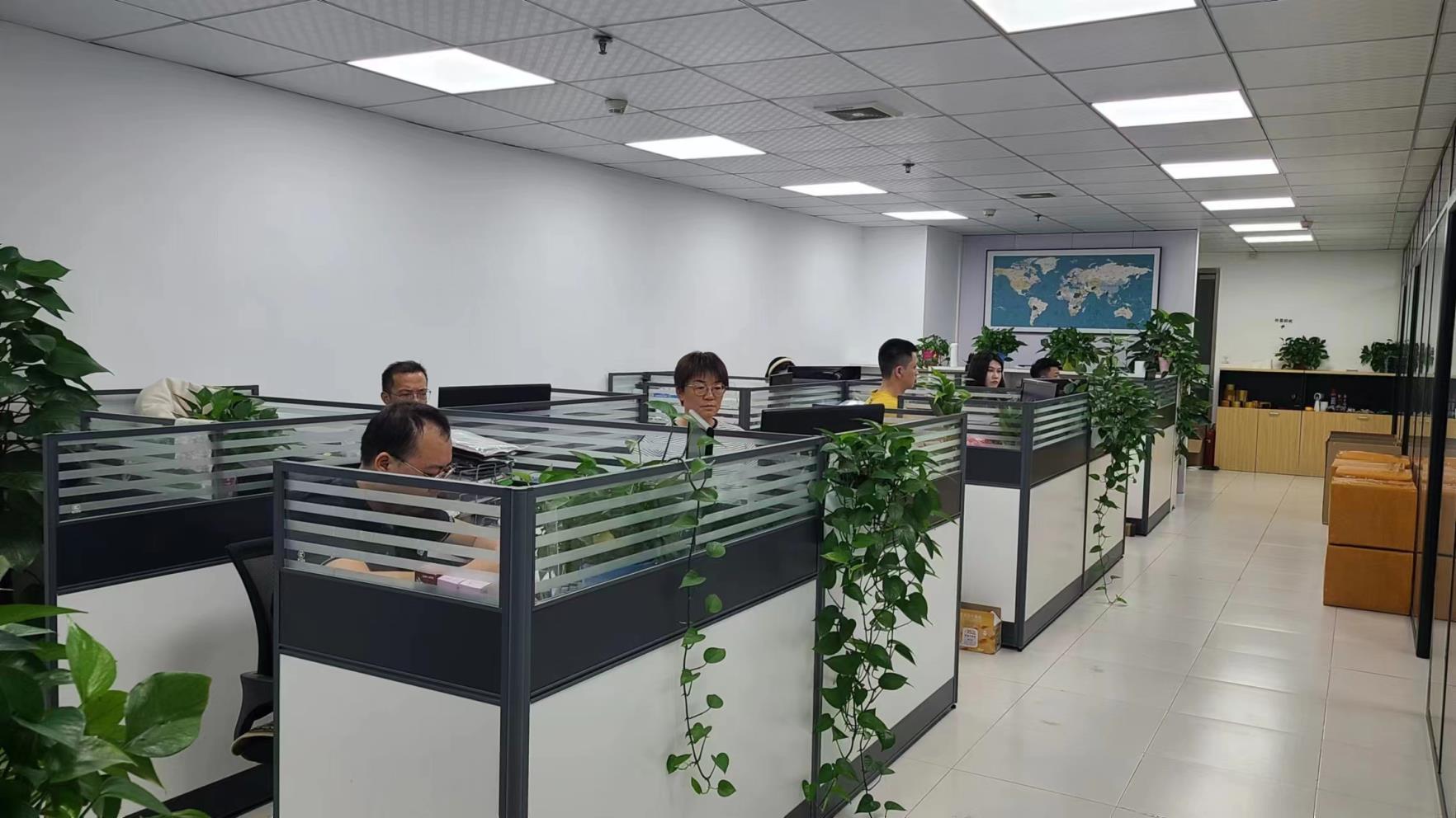 Shenzhen Slinya Electronics Co., Ltd. Consumer Electronics