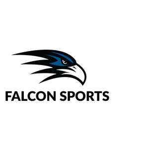 Company icon