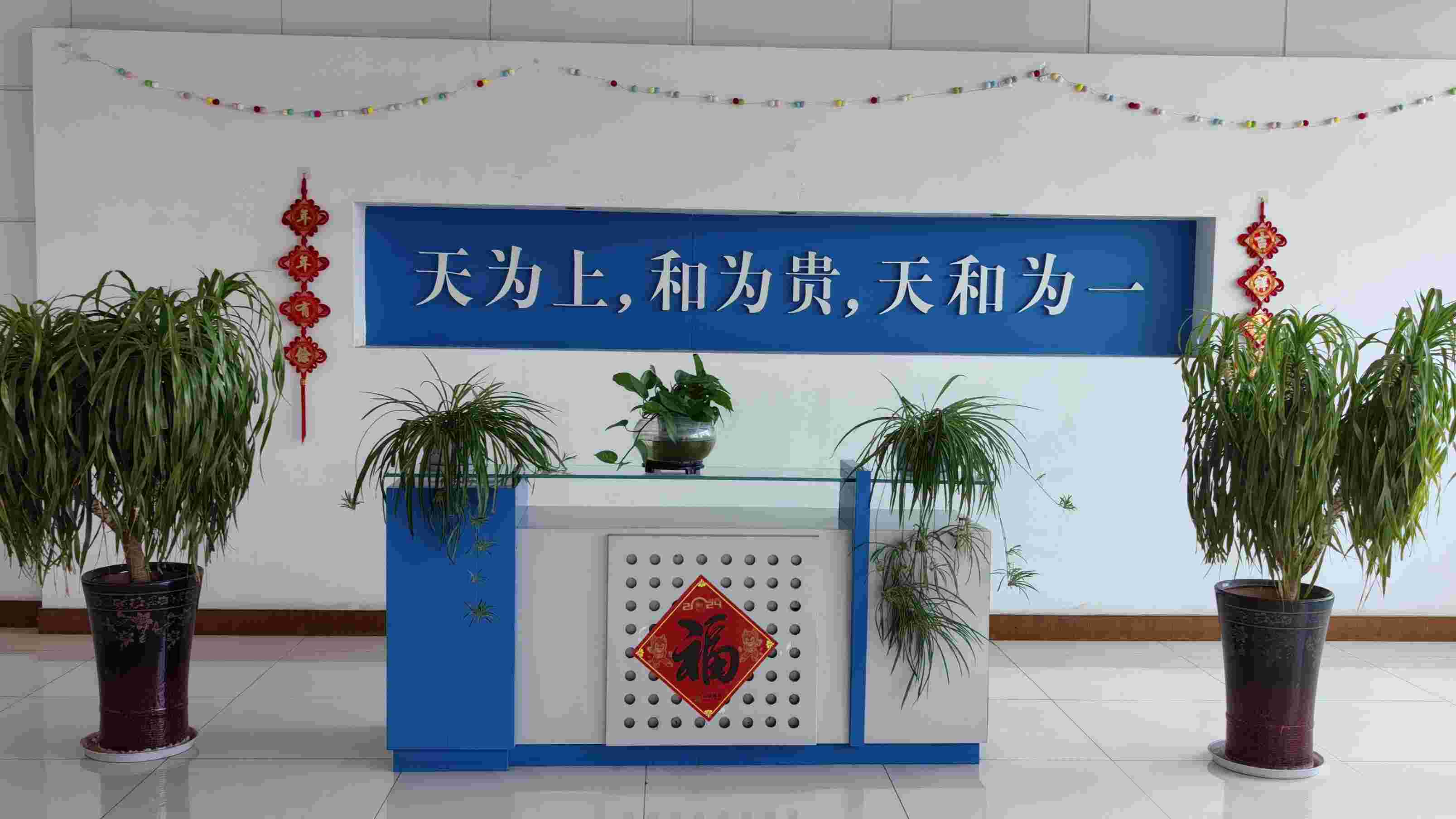Changzhou City Tianhe Electric Tools Co., Ltd. Sander