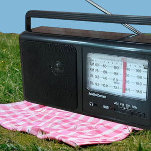 Portable Multiband Radio with Tuner Pointer