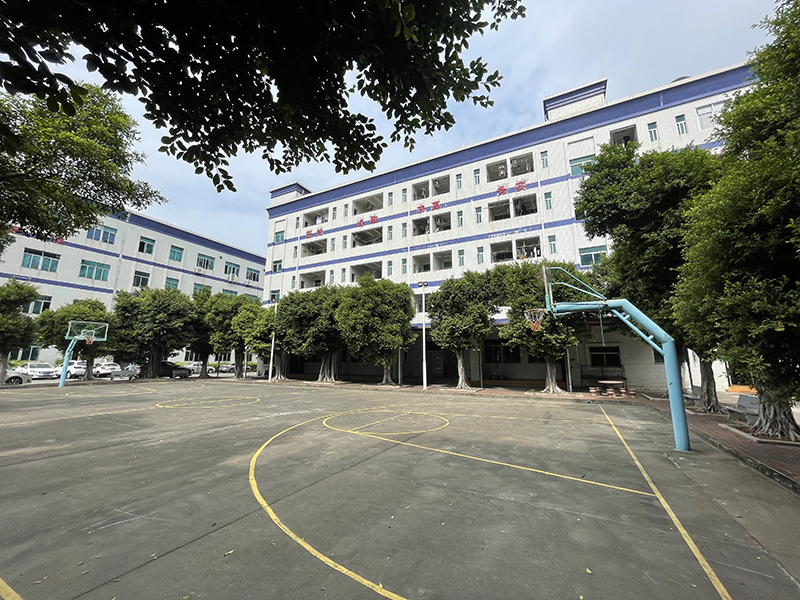 Dongguan Tianjie Underwear Co., Ltd. ladies' bras