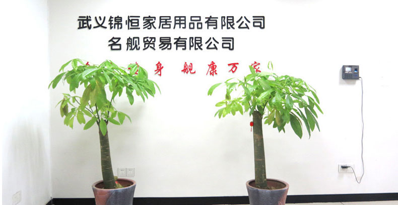 Wuyi Jinheng Household Products Co., Ltd. Yoga Hammock