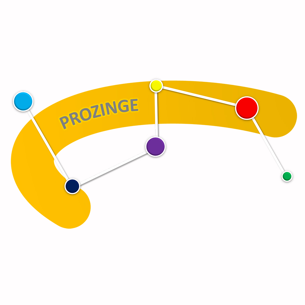 Suzhou Pro Zinger Co., Ltd. logo