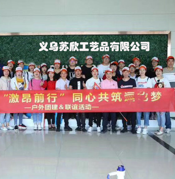 Zhejiang Zhongke Lide New Material Co., Ltd. High-performance fibers