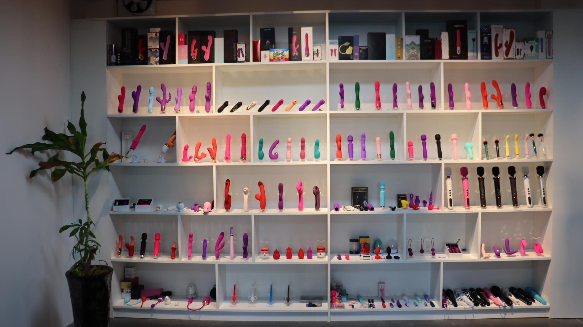 Dongguan Yaqu Plastic Electronics Co., Ltd. Dildos
