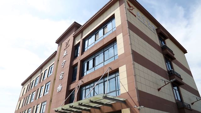 Shanghai Langyi Enterprise Development Co., Ltd. Pet Bed