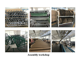 Enwe Sports Tech (Kunshan) Co., Ltd. Electric Bicycle