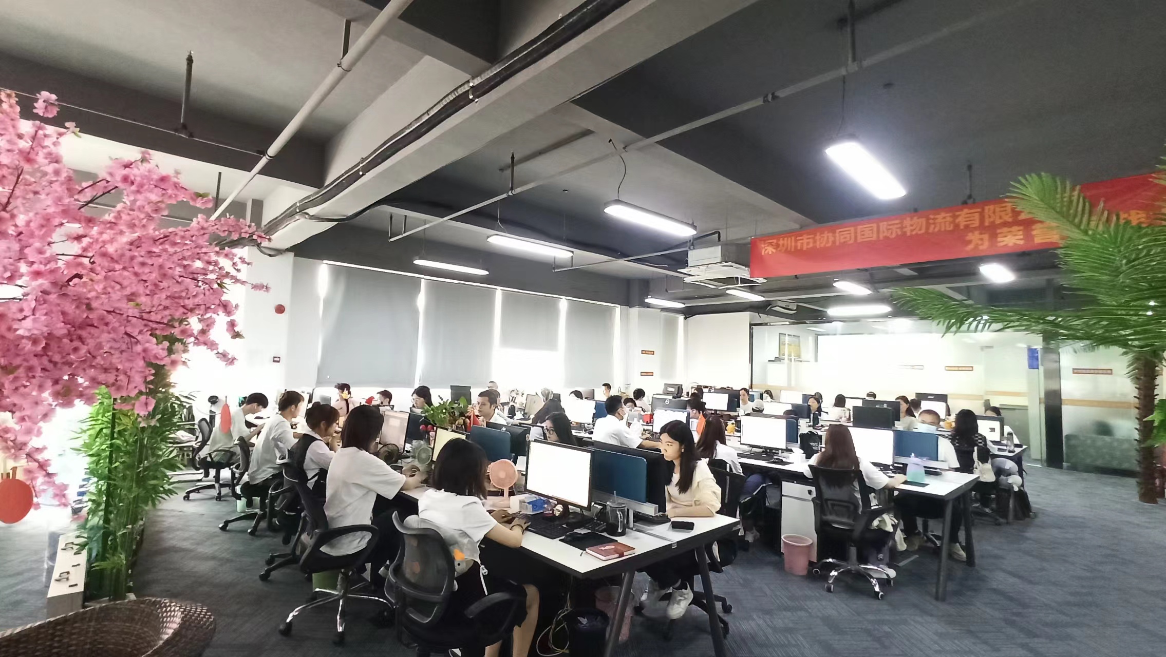 Cooperate Logistics Co., Ltd. Customs Clearance