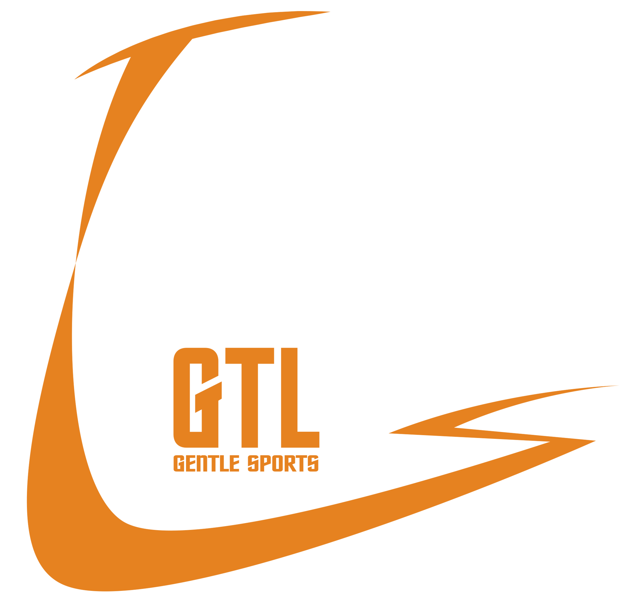 Shenzhen Z.S.F. Technology Co., Ltd. logo