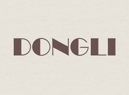 Wuhan Dongli Arts & Crafts Co., Ltd. logo