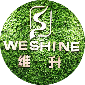 Company icon