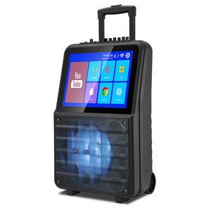 dual wireless microphone 8  inch woofer Karaoke speaker with 14.1 inch HD integrated screen