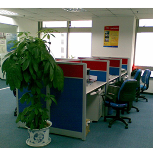 Ningbo Songpai International Trade Co., Ltd. party wigs