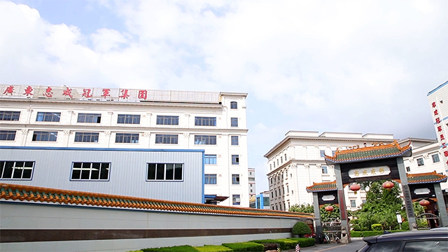 Champion Storage Battery Company Limited VRLA Battery