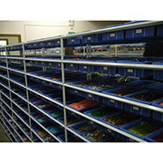 Fujian Singyee Import & Export Co., Ltd. casual shoes