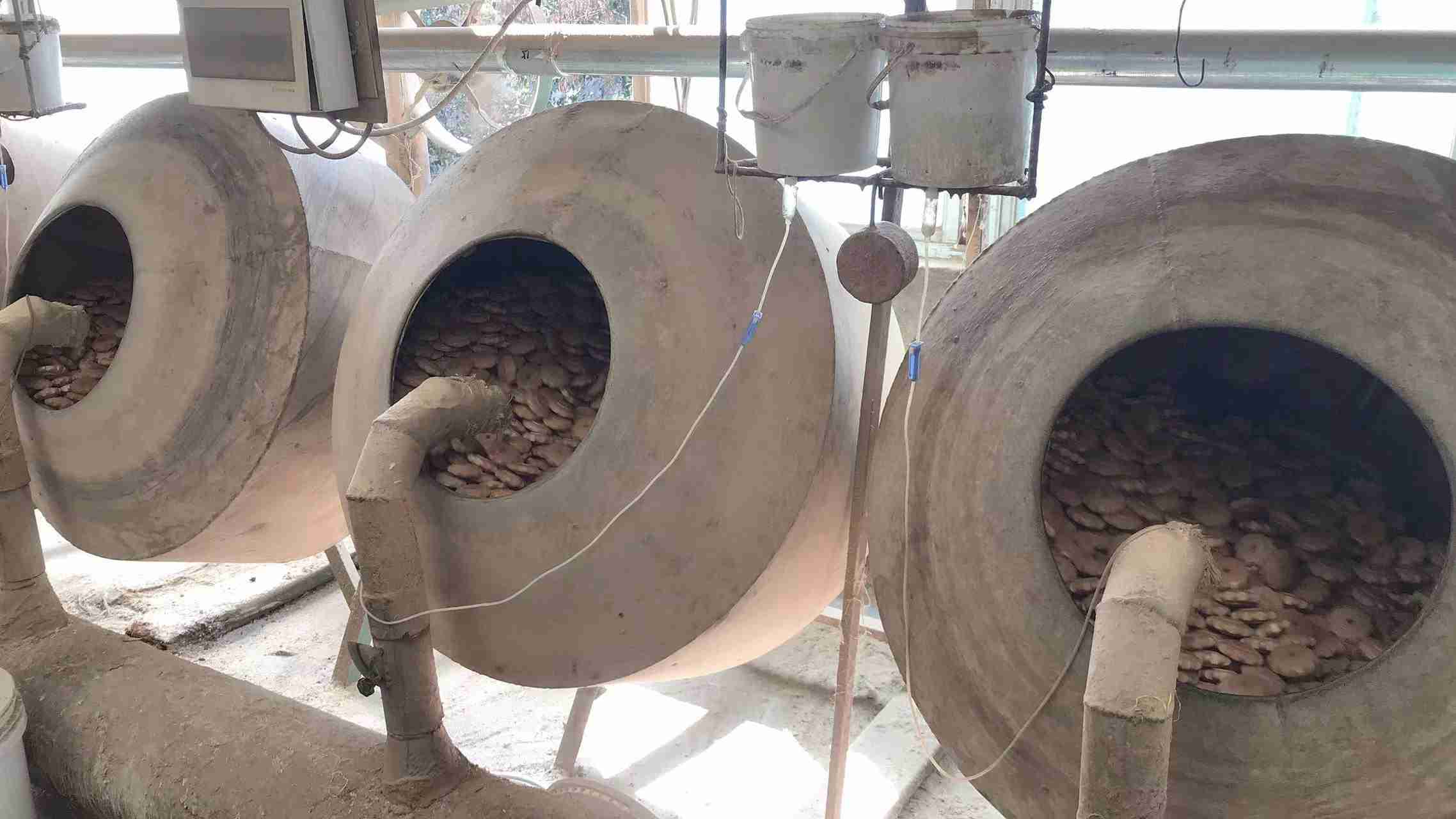 Yiwu Zking Craft Co., Ltd. Hair Brushes