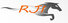 RIAZ JAMAL INTERNATIONAL logo