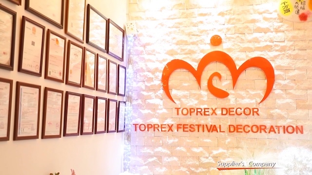 Shenzhen Toprex Festival Decoration Co., Ltd. LED decorative lighting