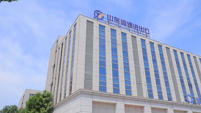Shandong Junbo Import and Export Trading Co., Ltd. Diode Laser Hair Removal Machine
