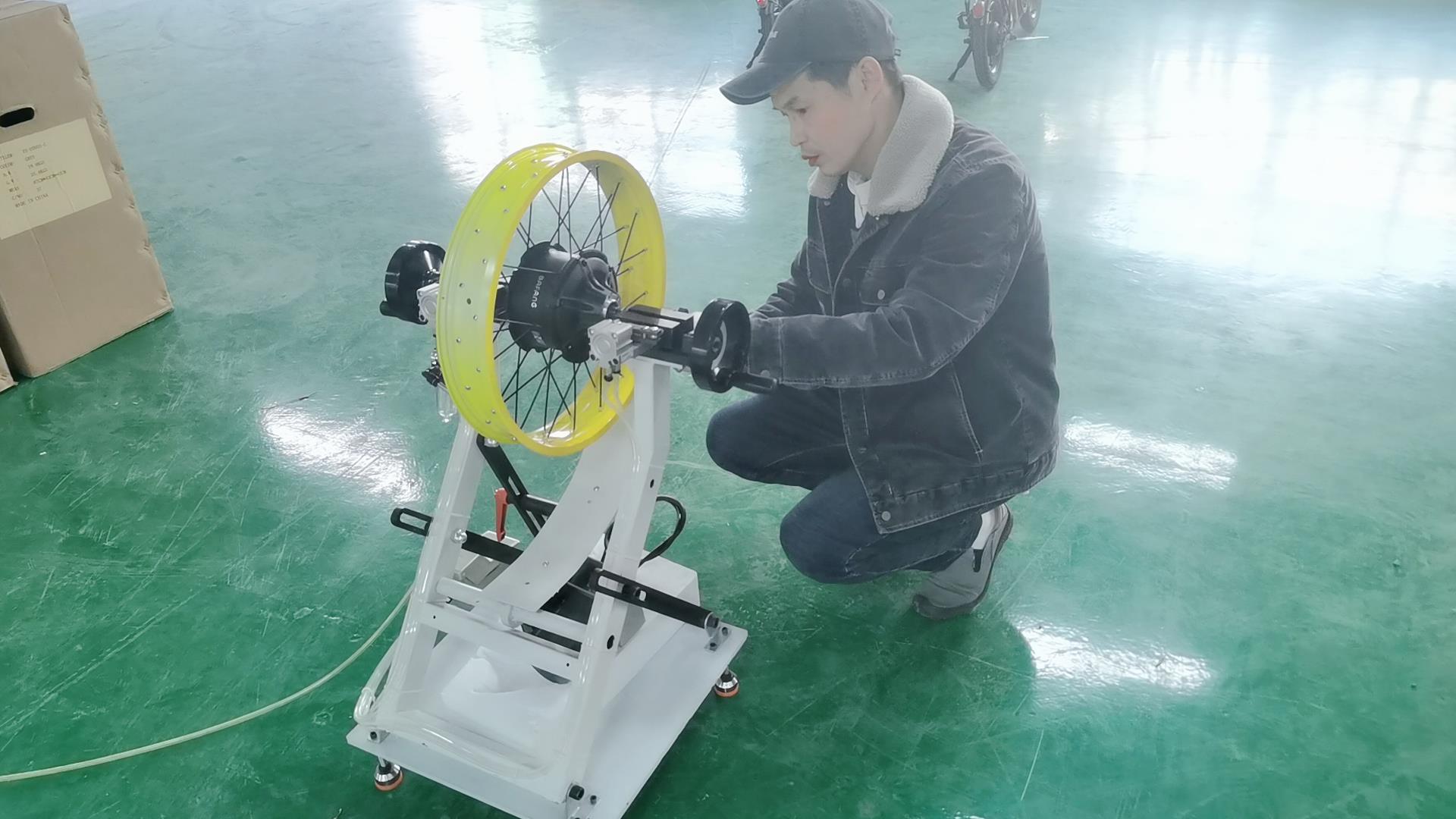 Huizhou Jinyu Sporting Goods Co., Ltd. Cargo Electric Bike