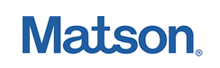 Company icon