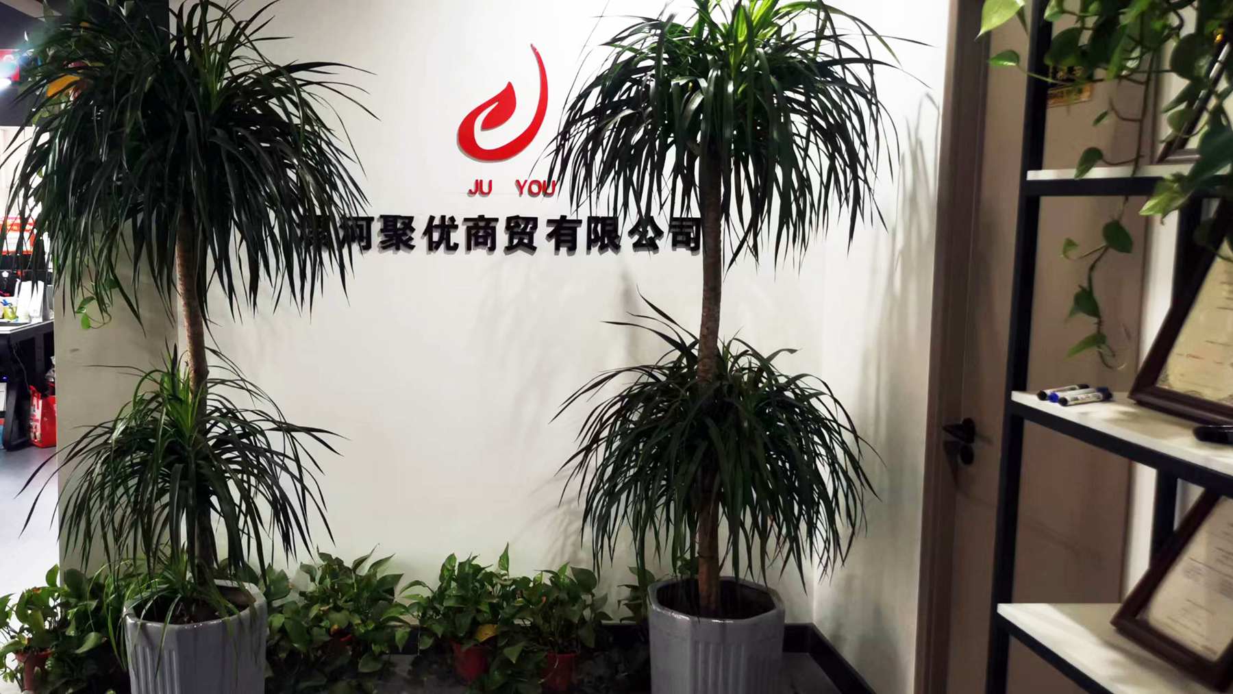 Luohe Juyou Commercial & Trading Co., Ltd. factory image 5