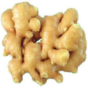 Wholesale Fresh Ginger for Sale