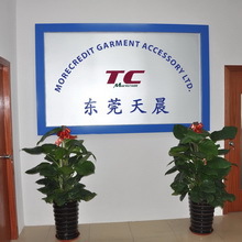 Dongguan Tianchen Garment Technology Co., Ltd. Yoga Wear