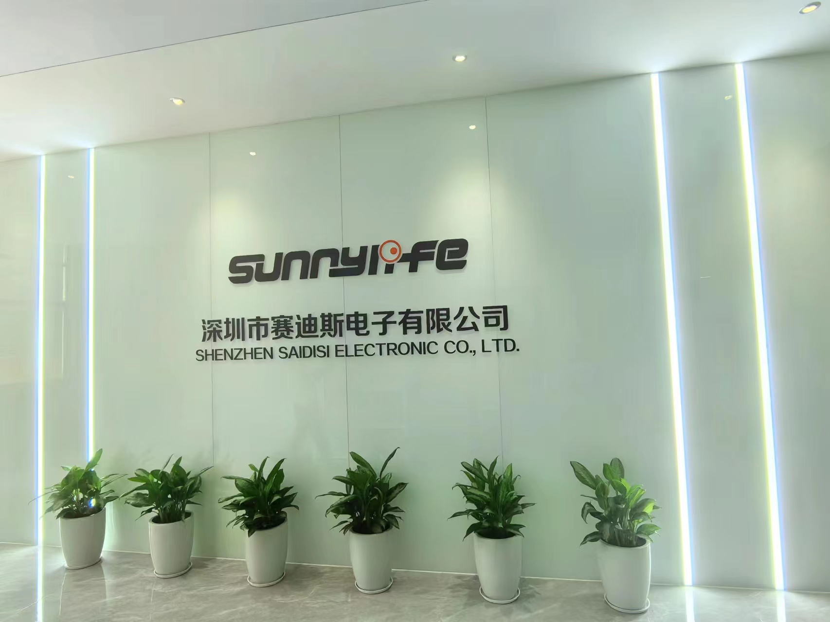 Shenzhen Saidisi Electronic Co., Ltd. factory image 2
