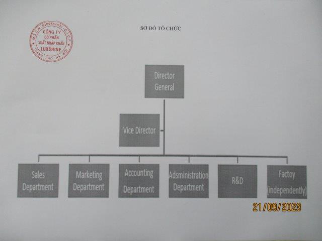 LUXSHINE IMPORT EXPORT JOINT STOCK COMPANY Vietnamese Remy Hair