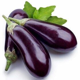 Small Packaging High Quality Export Oriented Hybrid F1 Brinjal No.1 Purple Eggplant Fresh Vegetable