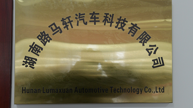 Hunan Lumaxuan Automobile Technology Co., Ltd. Electric Vehicles