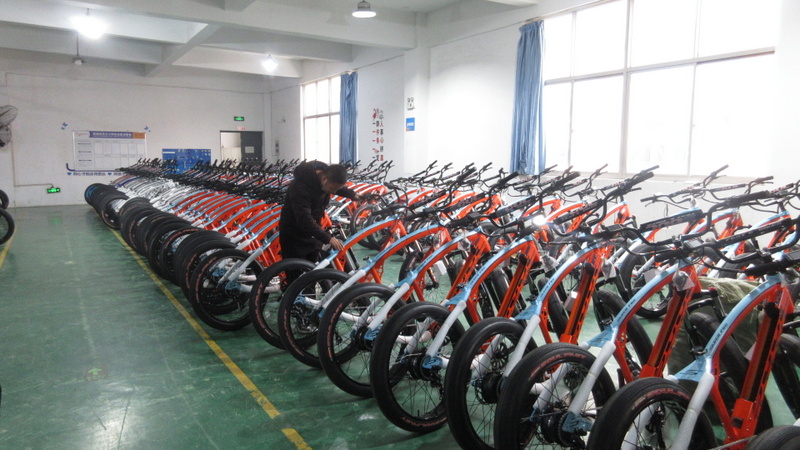 Suzhou Dynalion Technology Co., Ltd. mountain electric bikes