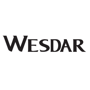 Company icon