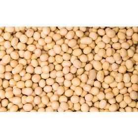 Bulk Gmo Soybeans