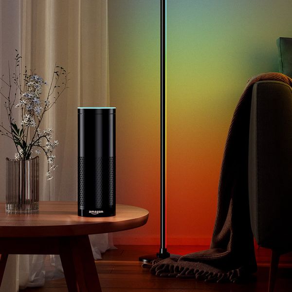 CL Lighting 5V Smart Decorative Standing Lamp RGB LED Floor Light with Remote & APP Control