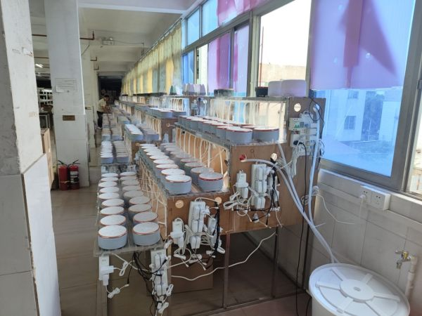 Shenzhen Jinshi Ultra-precision Technology Co., Ltd. PCBN insert
