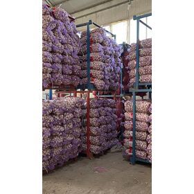 Shandong cangshan 5-6 cm garlic with 300g mesg bag package for Malaysia market for bulk supermarket buyer