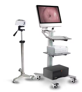 AMAIN Hospital Gynecological Examination Equipment Digital Optical Colposcope System For Vaginal Testing