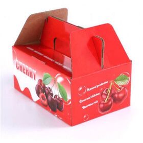 Printing biodegradable large-sized and handle fruit packaging boxes for eggs and fruits