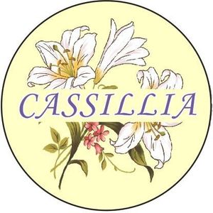Company icon