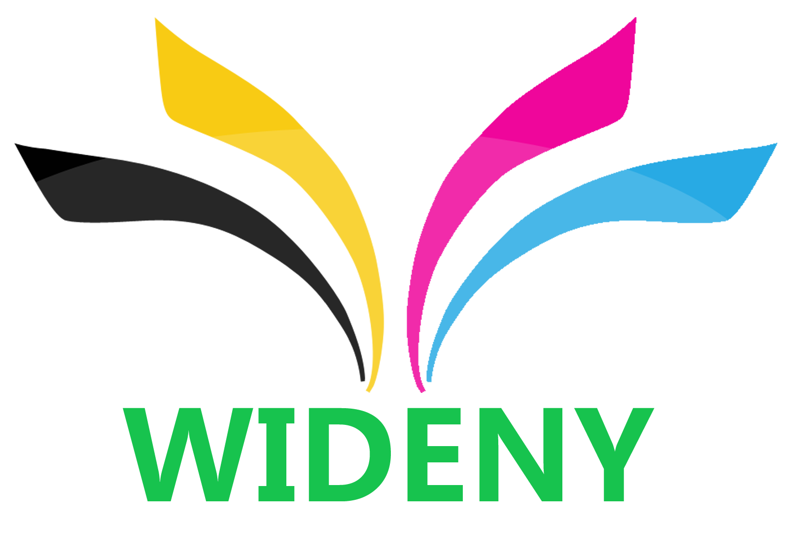 Hangzhou Wideny Trading Co., Ltd. logo