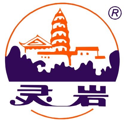 Suzhou Lingyan Medical Technology Co., Ltd. logo