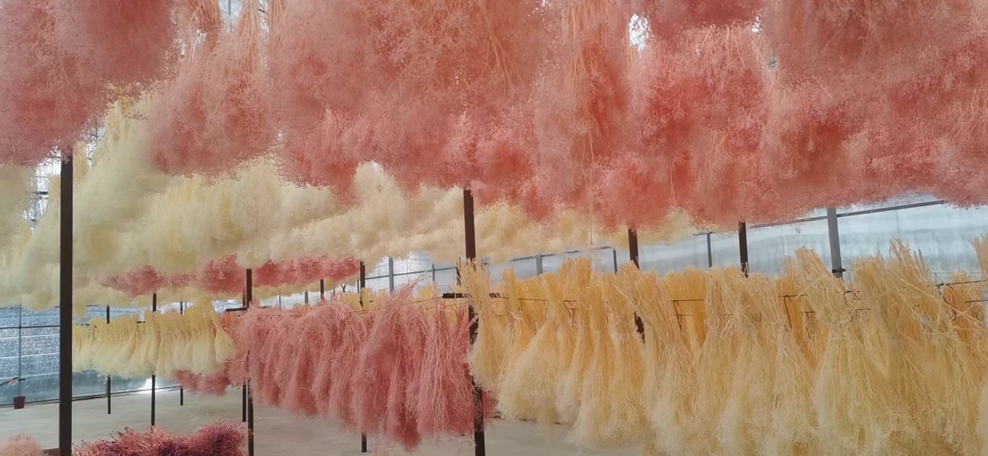 Yunnan Starflower Trade Co., Ltd. factory image 1