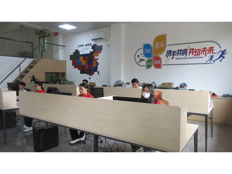 Dongguan RUILI Case Co., Ltd. EVA Storage Case