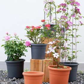 Outside Garden Balcony Cement Color Custom Plastic Large Clear Resin Cactus Plant Pot With Draining Hole
