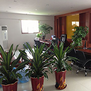 Guangdong Wisdomlife Electric Co., Ltd. Wall Fan