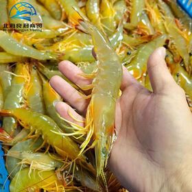 Hot Selling Frozen Black Tiger IQF BQF Shrimp White Shrimp Shrimp Head on Shell on Size 10.8 Vacuum Bag