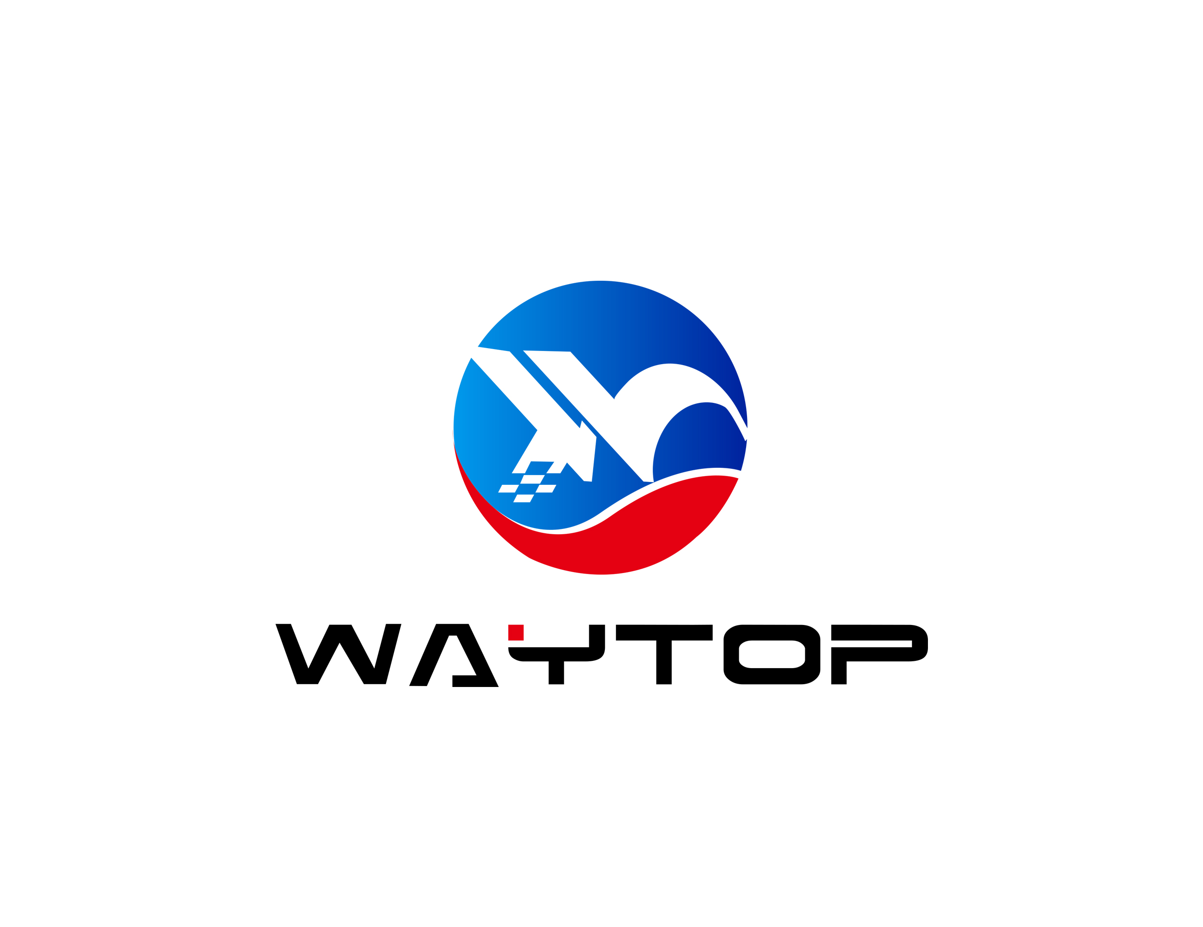 Shandong Waytop Wear Resistant Material Co., Ltd. logo
