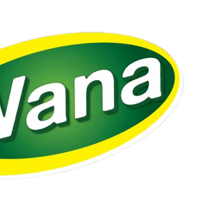 Company icon